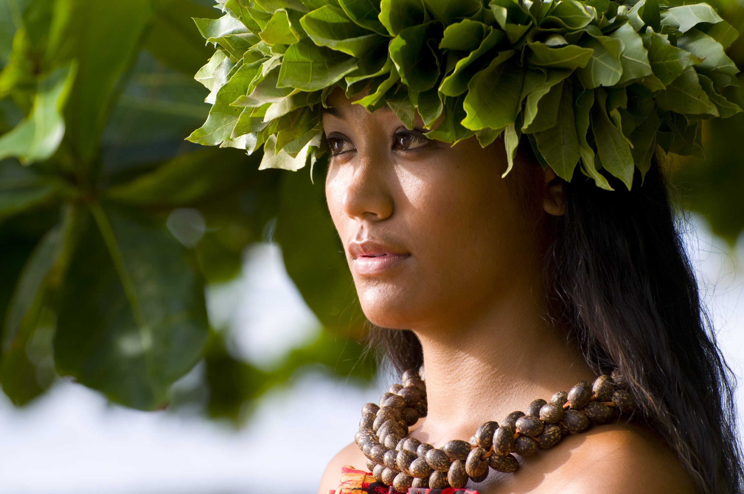 Aloha Festival Dancer, girl in traditional Hawaiian costume